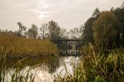 DSC_0175-2.jpg