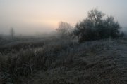 IMGP5294_resize.jpg