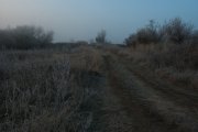 IMGP5304_resize.jpg