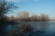 IMGP5355_resize.jpg