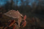 IMGP5376_resize.jpg