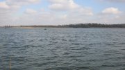 IMG_2460.jpg