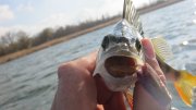 IMG_2465.jpg