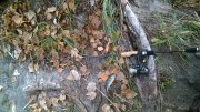WP_20141105_11_17_00_Pro.jpg