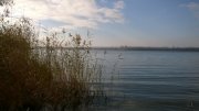 WP_20141105_11_17_10_Pro.jpg