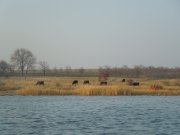 DSCN3182.JPG