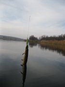 IMG_1667.JPG