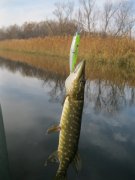 IMG_1672.JPG