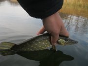 IMG_1673.JPG