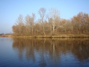DSC09107.JPG