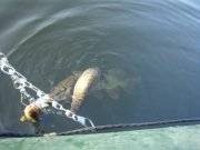 DSC09119.JPG