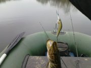 DSC09318.JPG