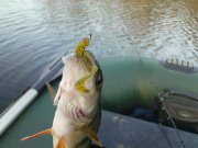 DSC09330.JPG