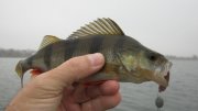 IMG_2472.jpg