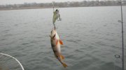 IMG_2473.jpg