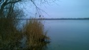 WP_20141111_10_00_25_Pro.jpg