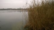 WP_20141111_10_00_49_Pro.jpg