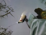 IMG691.jpg