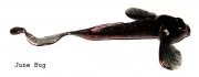 8-Junebug.jpg