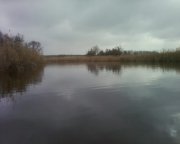 Photo-0001.jpg