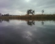 Photo-0002.jpg