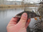 IMG_0529.JPG
