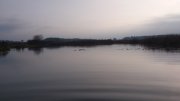 DSC_7464.jpg