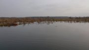 DSC_7465.jpg