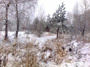 Фото0079.jpg