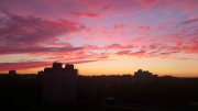 DSC_0082.jpg