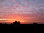 DSC_0266.JPG