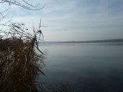 CAM00509.jpg