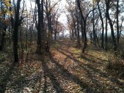 CAM00522.jpg