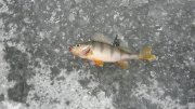 IMG_2496.jpg