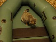 DSC05935.JPG