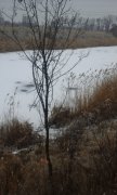 20141129_114655.jpg