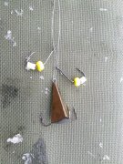 291120143296.jpg