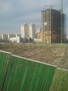 DSC00242.JPG