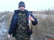 DSC01133.JPG