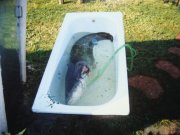 DSC00330.JPG