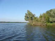 DSC00343.JPG