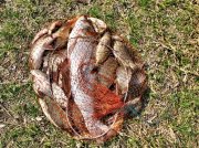 IMG_0709.jpg