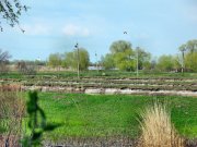 IMG_0723.jpg