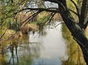 IMG_0718.jpg