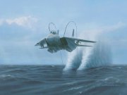 F-14.jpg