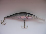 IMG_2123.JPG