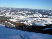 P1010533_новый размер.JPG