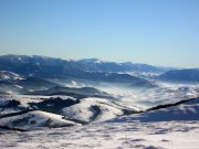 P1010536_новый размер.JPG
