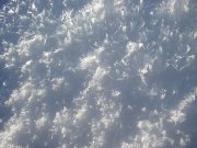 P1010539_новый размер.JPG