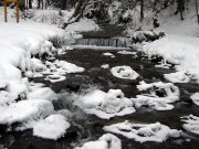 P1010631_новый размер.jpg